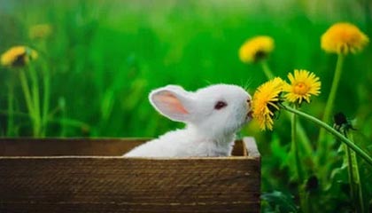 澳门银河|水上运动赛事v9.5.8